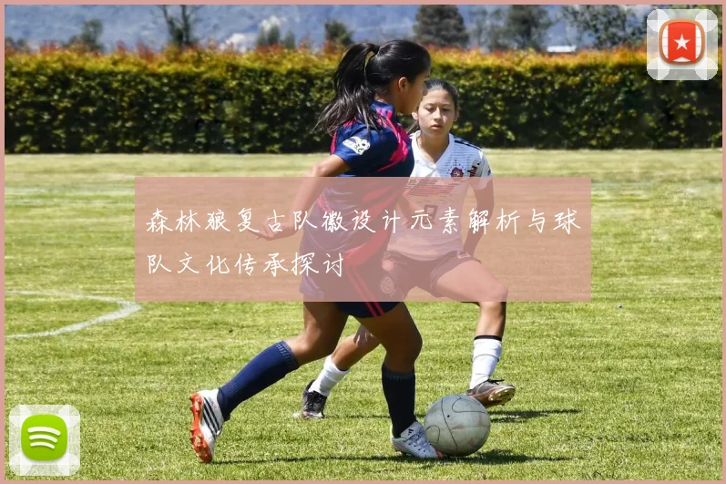 森林狼复古队徽设计元素解析与球队文化传承探讨